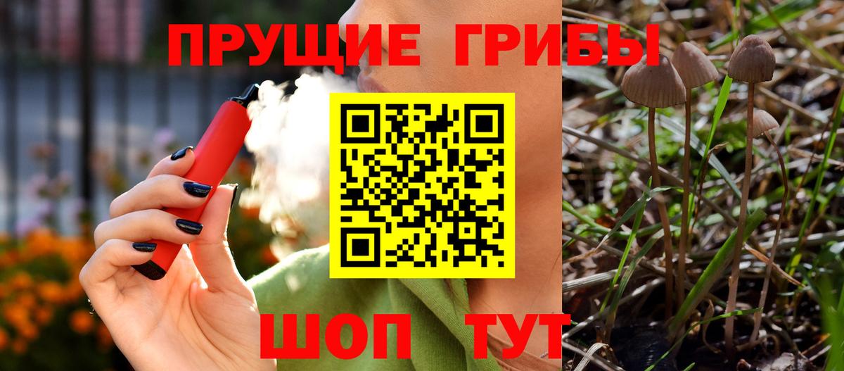 Псилоцибиновые грибы мухоморы Балаково