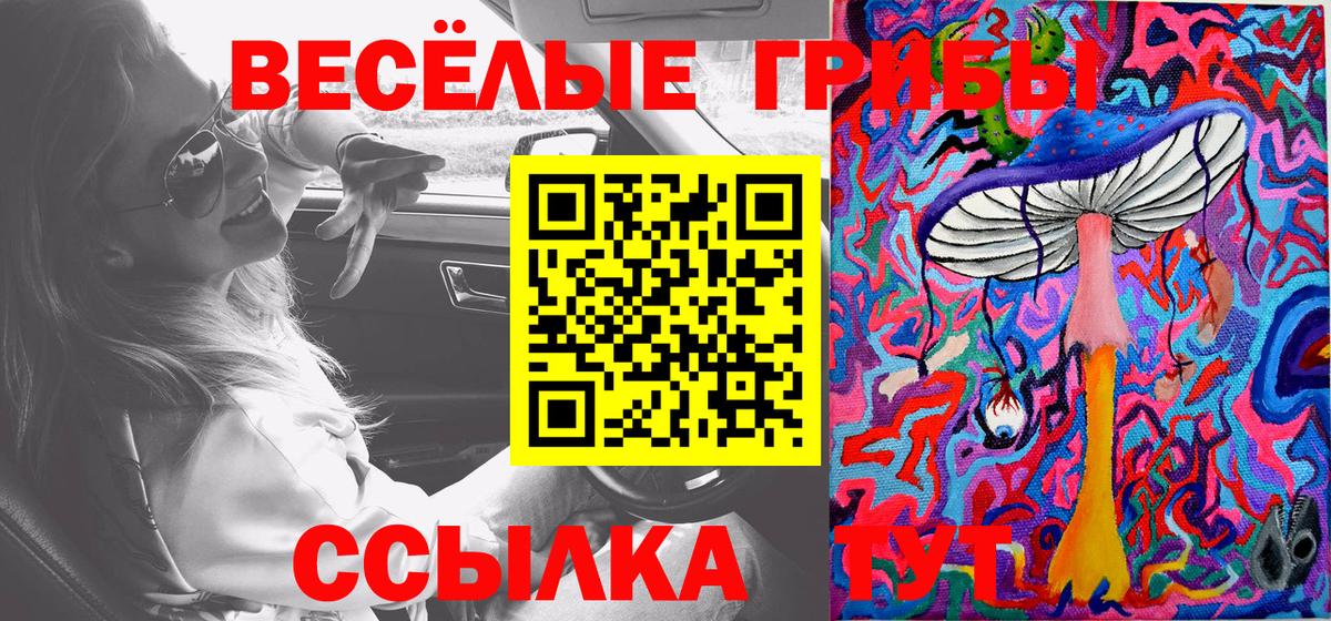 Галлюциногенные грибы GOLDEN TEACHER  Вход с VPN  где найти   Балаково 