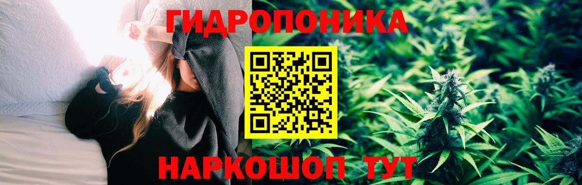 Бошки марихуана OG Kush Балаково